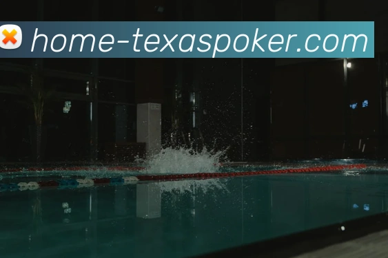 多媒体互动体验